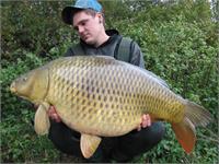 74