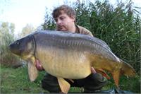 35